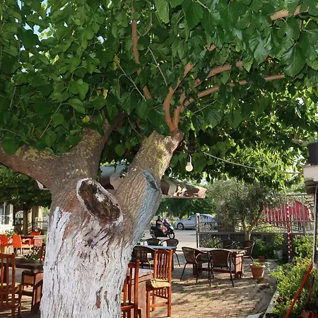 Lm Murati * Polisi i Vogel