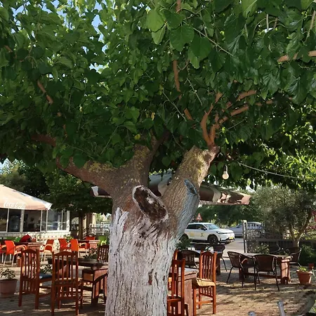 Vendégház Lm Murati Polisi i Vogel