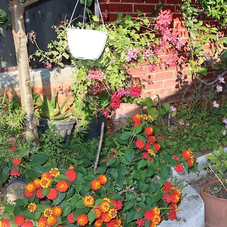 Lm Murati Polisi i Vogel