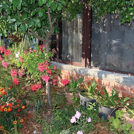 Lm Murati Vendégház