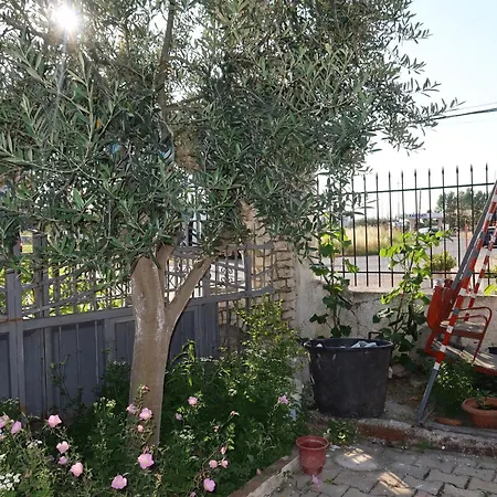 Vendégház Lm Murati