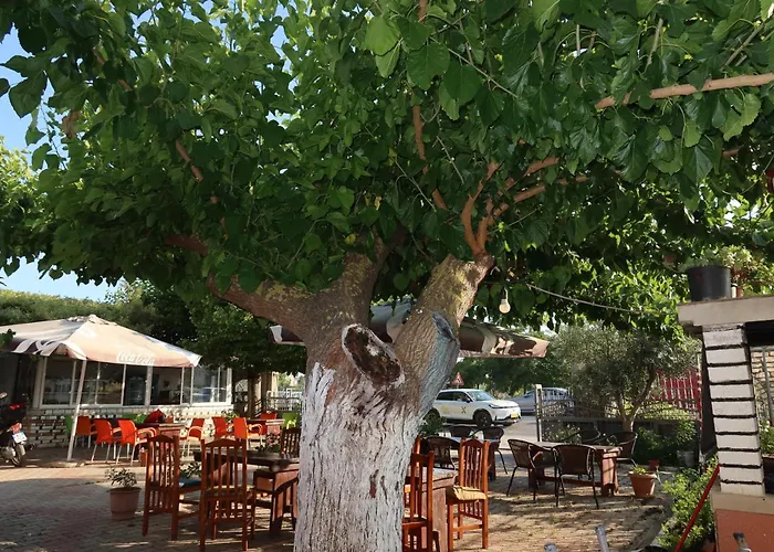Casa de hóspedes Lm Murati Polisi i Vogel