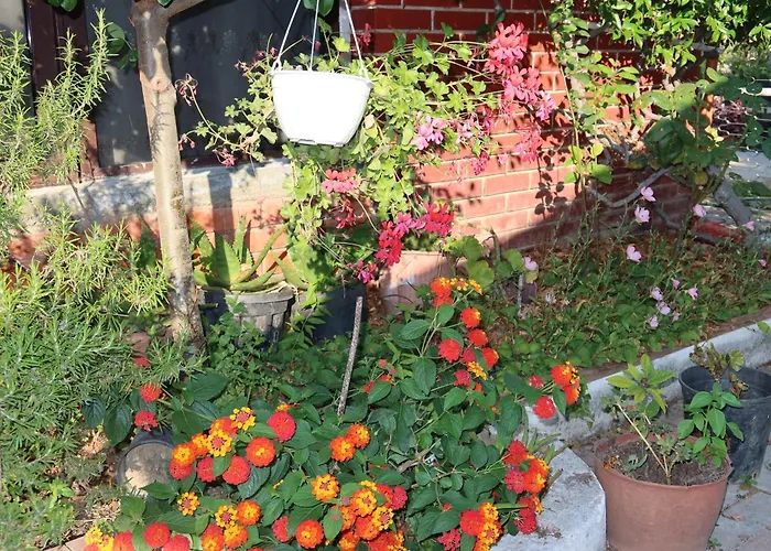 Lm Murati Polisi i Vogel