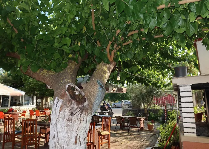 Lm Murati * Polisi i Vogel