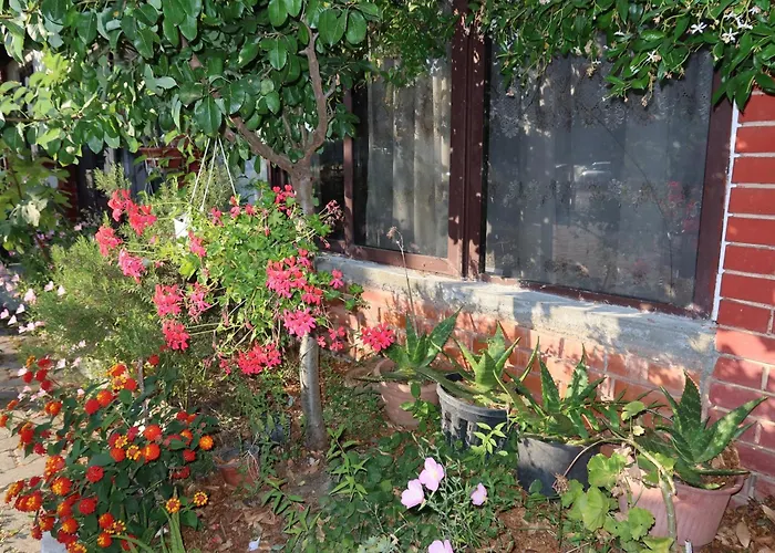 Lm Murati ゲストハウス